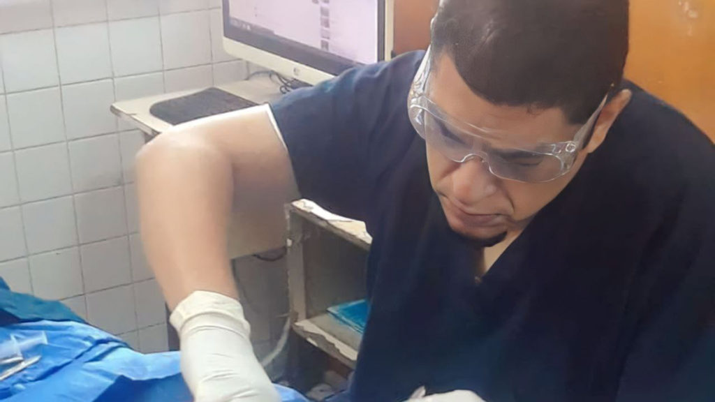 No les gusto por alguna razón